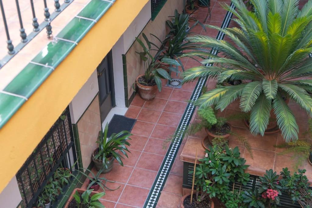 Apartamento Junto A Las Setas De Sevilla ภายนอก รูปภาพ